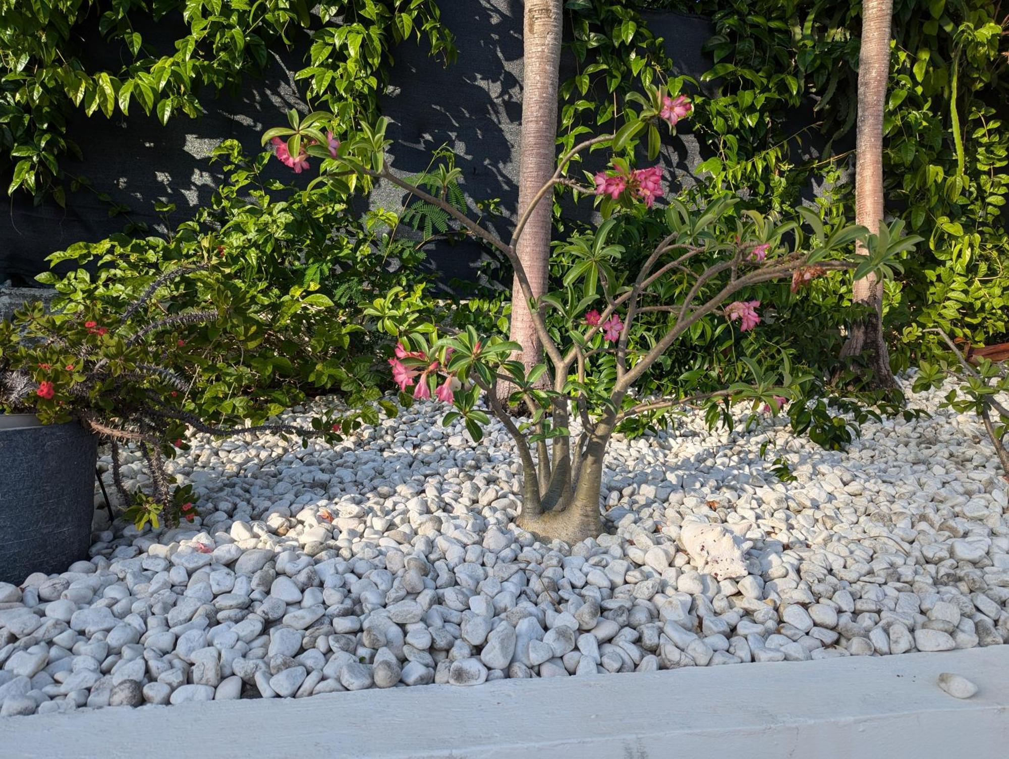 Villa Z'Epices-Marina C0Nciergerie Saint-Francois  Εξωτερικό φωτογραφία